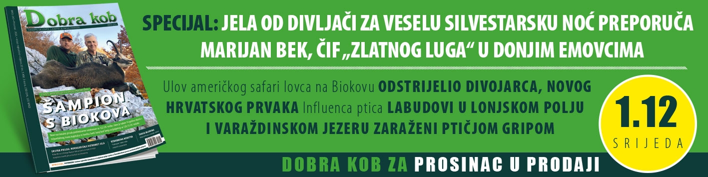 DK najava prosinac pozega