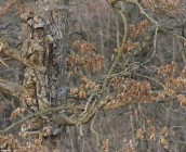 realtree-camo9