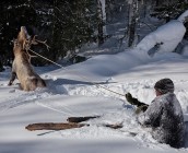 skii-hunting6