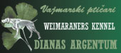 Dianas Argentum