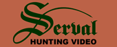Serval HUNTING VIDEO