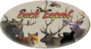 buck_expert_logo.jpg