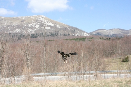 pusanje-zenke-velebit