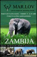 marlov-reklama-zambija-slon-m