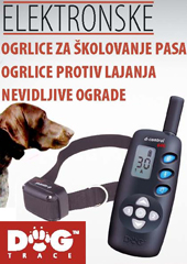 dog_trace_ogrlice_baner_lovac.jpg