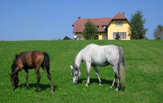 cesma_lovacka_kuca_2 cesma_lovacka_kuca_2