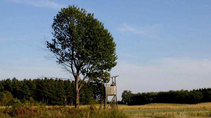 loviste_zelendvor