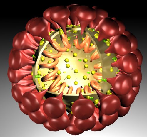 coronavirus