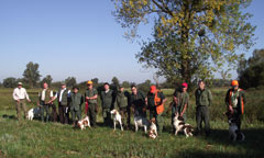 molve-2011-zupanijsko-240.jpg molve-2011-zupanijsko-240.jpg