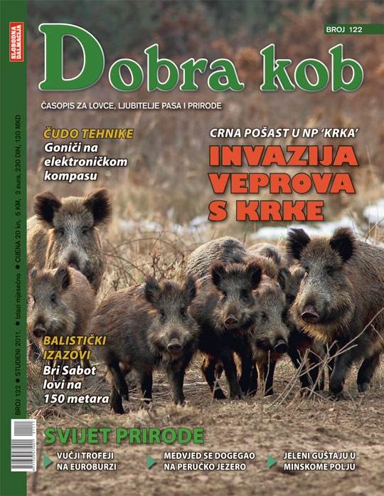 dobra-kob-122m-540.jpg