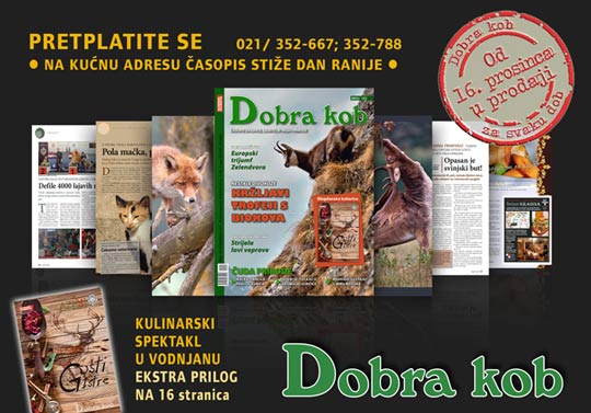 DK-123-prosinac-najava-za-web-lovac-540.jpg DK-123-prosinac-najava-za-web-lovac-540.jpg