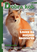 01S_DK-125_120.jpg