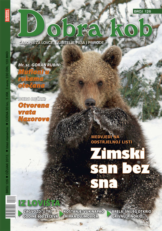 01 DK-126-dobra-kob_540