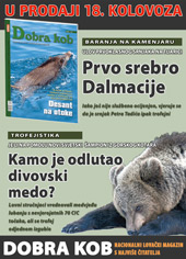oglas_dk_107_2.jpg