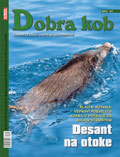 dobra-kob-107-10-120.jpg