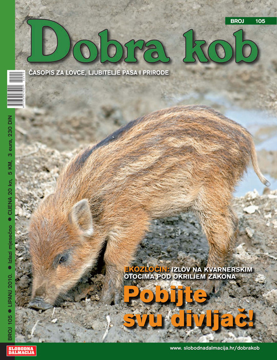 dobra-kob-6-10-540.jpg