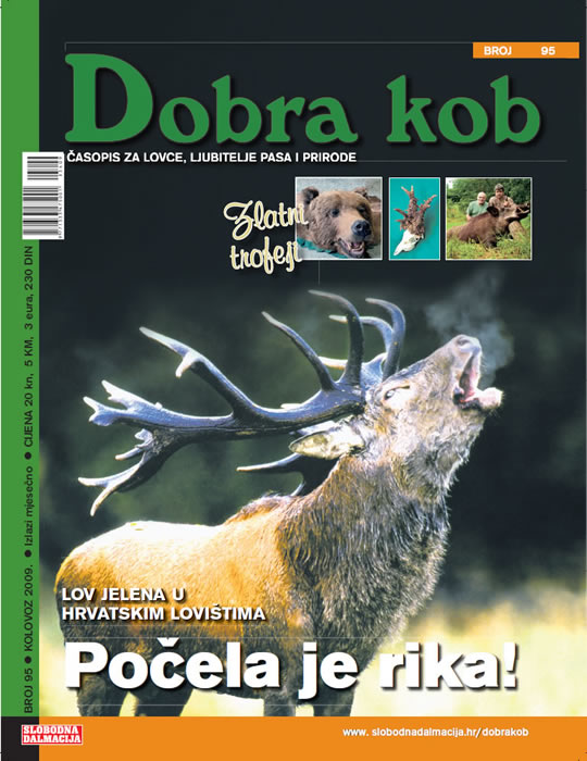 dobra-kob-95-540.jpg