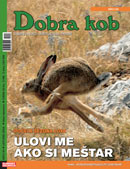 dobra_kob-85-130