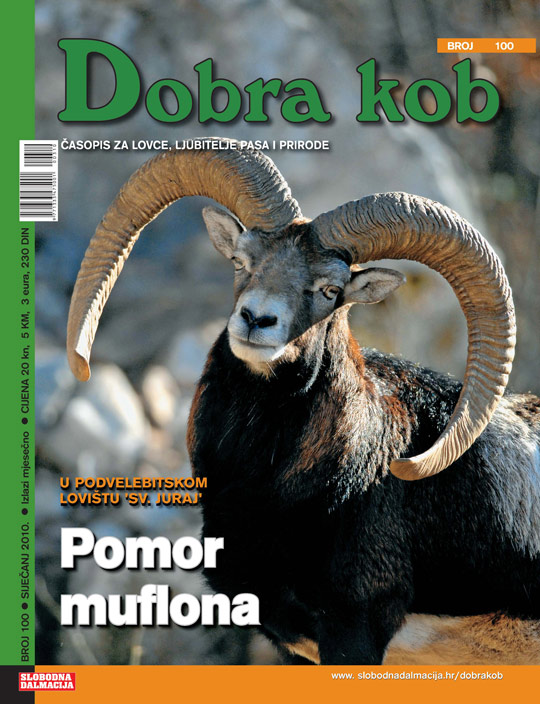 dobra_kob_100_540.jpg