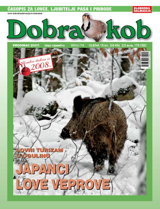 dobra_kob_75_540