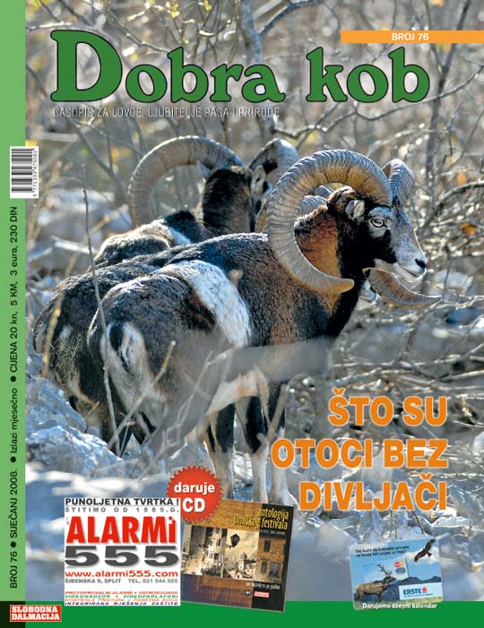 dobra_kob_76_540