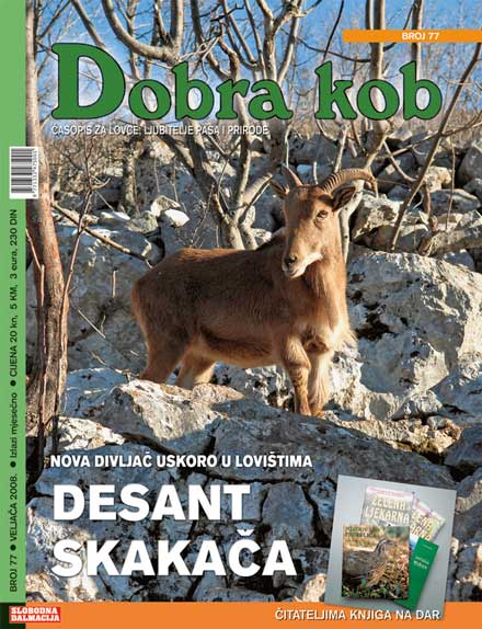 dobra_kob_77_440