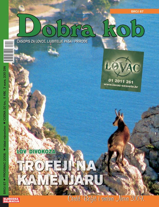 dobra_kob_87_540