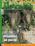 dobra_kob_96_120.jpg dobra_kob_96_120.jpg