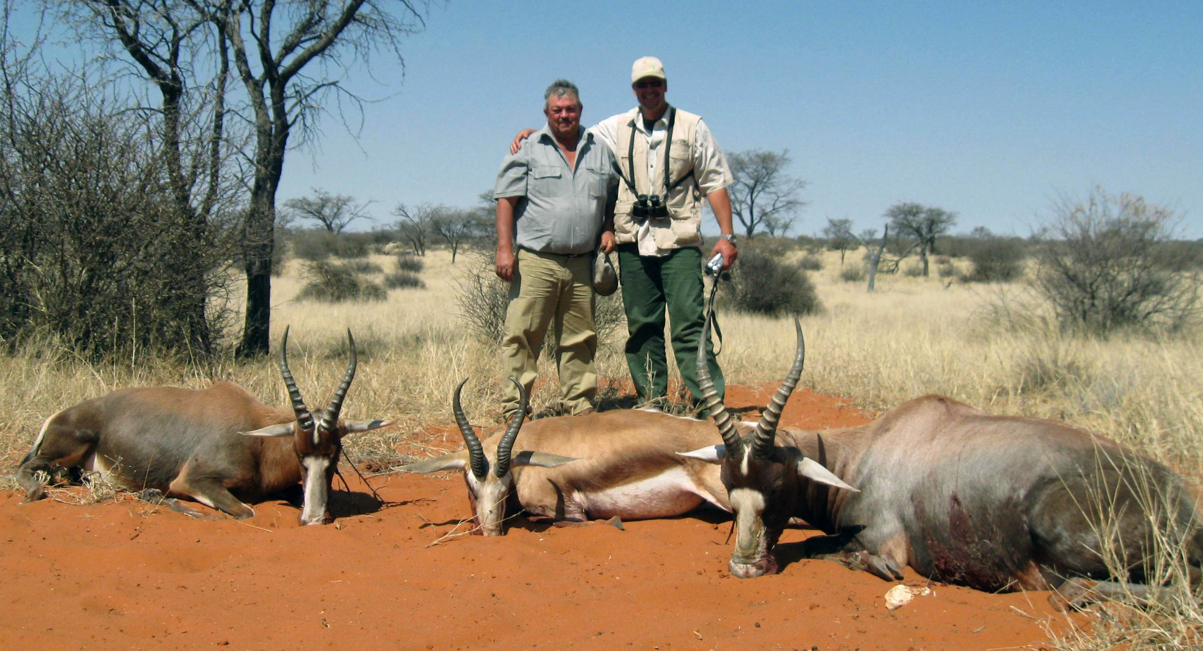 blesboci i springbok