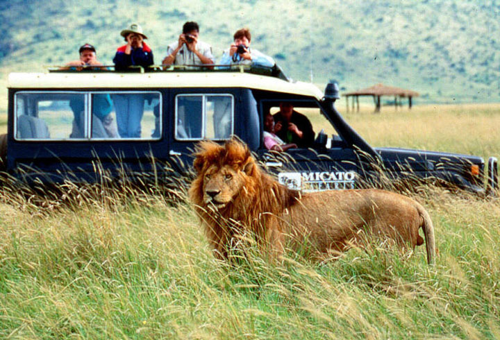 safari_africa_v