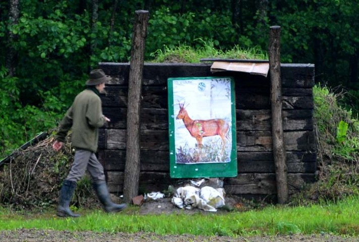 LD-Slavuj-meta-srnjaka (2)