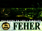 feher-poloveri