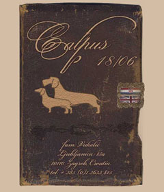 calpus-web-naslovna-240.jpg