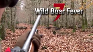 VIDEO: Wild boar fever 7