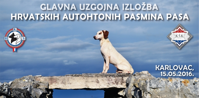 Glavna uzgojna izložba autohtonih pasmina pasa - Karlovac