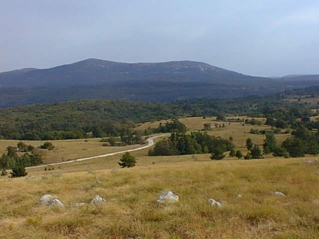 Istra: lovac se poskliznuo i pao pa upucao kolegu