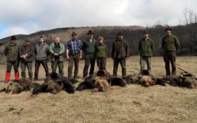 U Gorskom kotaru u jednoj noći odstrijeljena četiri &#039;&#039;zlatna&#039;&#039; medvjeda