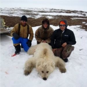 Odstrijeljen rijedak hibrid polarnog i grizli medvjeda u Kanadi