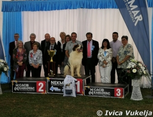 CACIB KARLOVAC 2019  - „4 rivers winner“