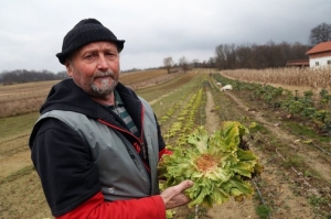 Od lovaca traži novac jer su srne pojele salatu na posjedu