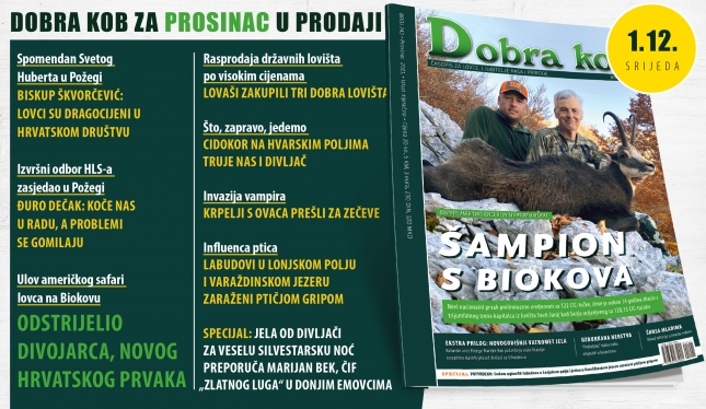 Novi broj magazina &quot;DOBRA KOB&quot; od 1. PROSINCA u prodaji!