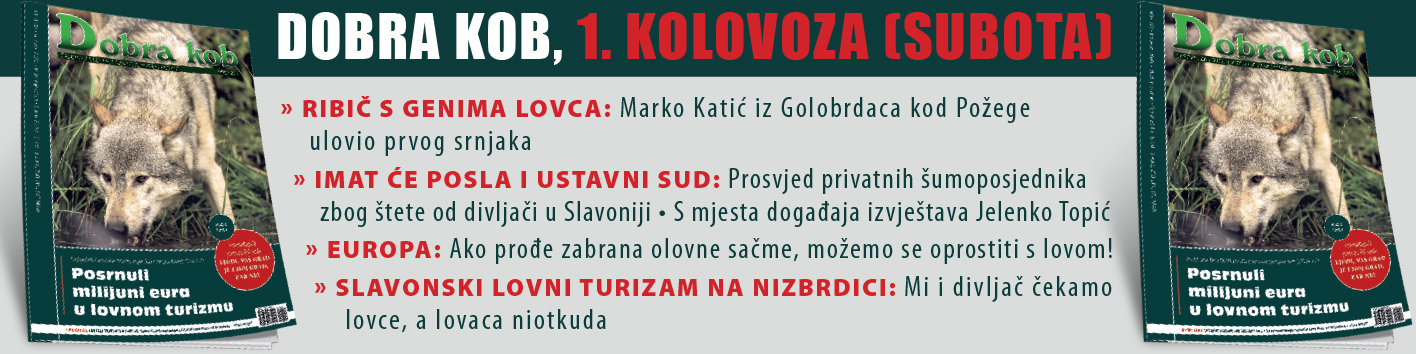 DK najava Kolovoz pozega 1