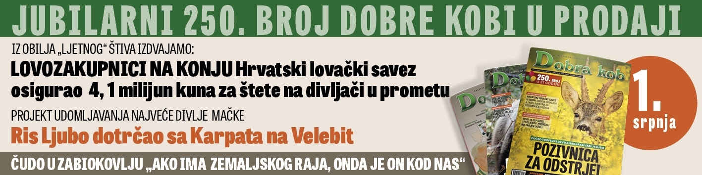 DK_najava_Srpanj.jpg