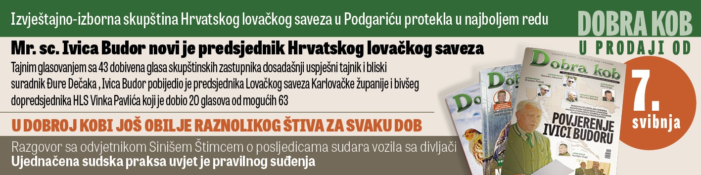 DK najava svibanj