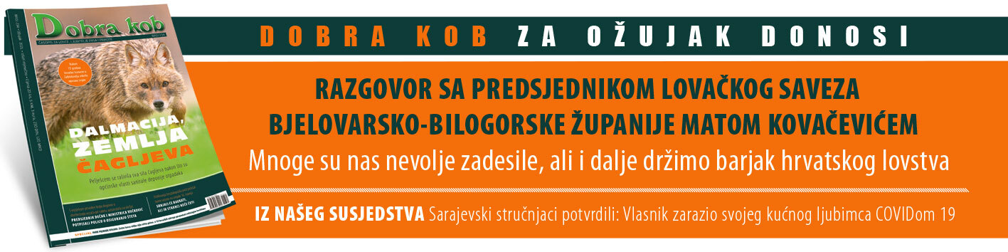 DK najava ozujak pozega