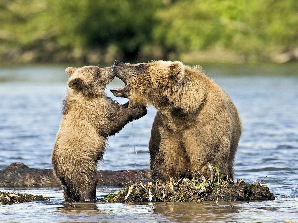 kamchatka 2