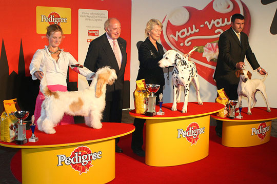 eurodog2007_fci6 eurodog2007_fci6