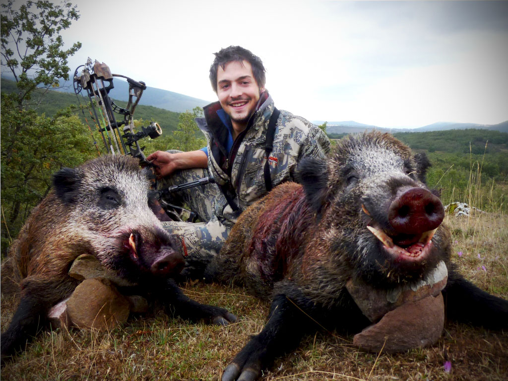 wildboar-bow-hunting 1
