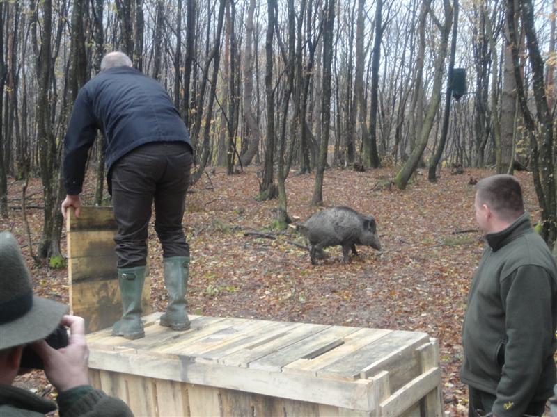LD-ostrc-otvaranje-gatera-15-11 3