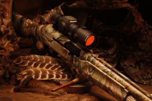Aimpoint H34S - kraća optika za velik učinak